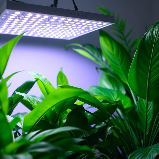Understanding Light PPFD and Its Critical Role in Growing Healthy Indoor Tropical Houseplants