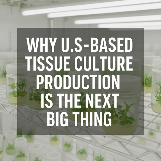 Why U.S.-Based Tissue Culture Production Is the Next Big Thing